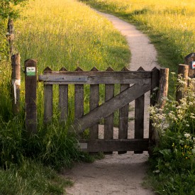 Starten met fotograferen